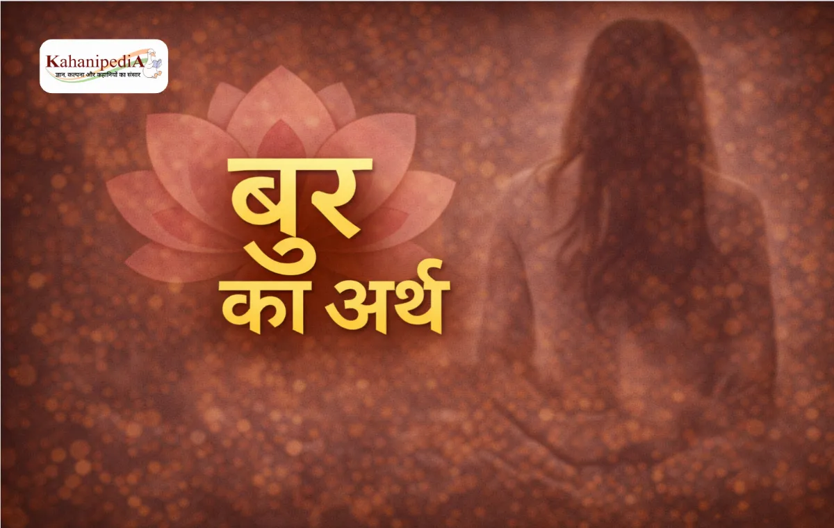 बुर का अर्थ (Bur Meaning in Hindi)